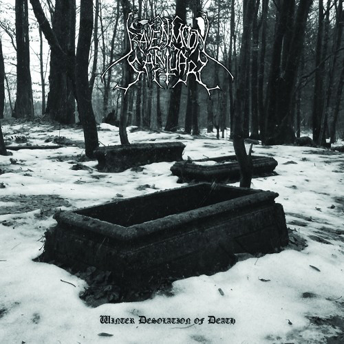 RAVENMOON SANCTUARY - Winter Desolation Of Death CD